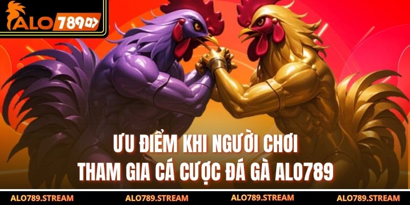 Ưu điểm khi người chơi tham gia cá cược đá gà alo789